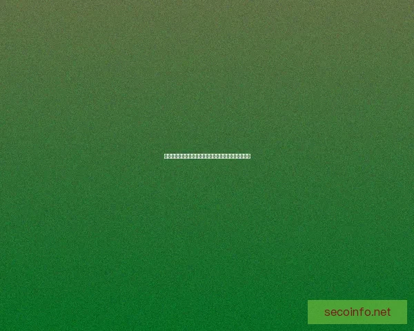 九阴真经无门派修炼之路探索与武学境界突破的奥秘揭秘